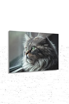 Kedi Cam Tablo Duvar Dekoru 2