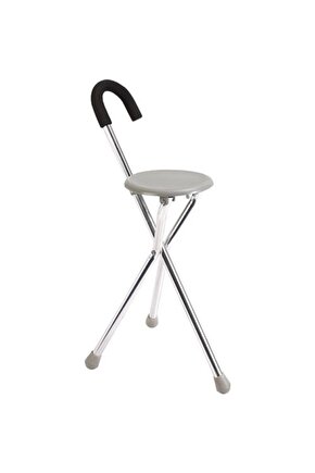 Renkli Sinek Kuşu Cam Tablo Duvar Dekoru