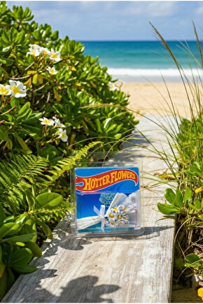 Minik Papatya Buketi Koleksiyon Küçük Papatya Aranjmanı