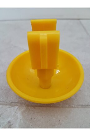 Turuncu Limon Rendesi