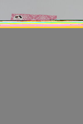 MS2395 MS-2395 Notebook Adaptör Cihazı, Şarj Aleti (135W)