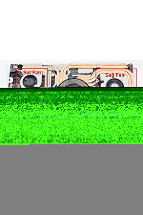 Kangal Toros  Yağmacı Domuz Sürüsü