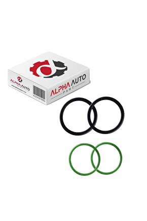 BMW E87,E46,E90,E60,E64,E66,X1, X5 E70 E85 için Vanos Conta Seti