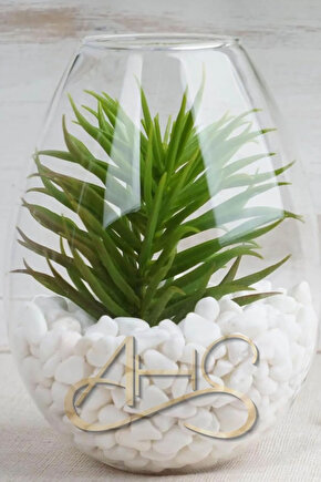 Beyaz Dolomit Taş 2 Kg 1,5-2,5 Cm Dere Çakıl Taşı Bahçe Süs Taşı Saksı Teraryum Taşı