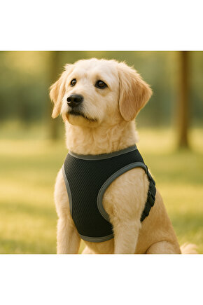 S-M-L Yıkanabilir Mesh Fileli Göğüs Tasması Nefes Alabilir Terletmez Dayanıklı Klipslı Cırtlı Tasma