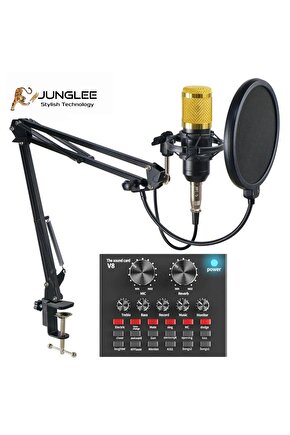 Profesyonel Stüdyo Mikrofonu 3.5mm Jack Girişli Youtuber Kondenser Full Set Studıo Mıcrofon Kit