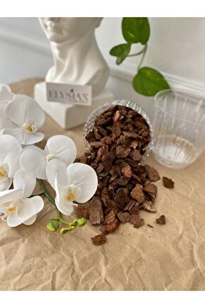 Orkide Toprağı Vitaminli Doğal Çam Kabuğu 3 Litre Besleyici Düzenleyici Toprak