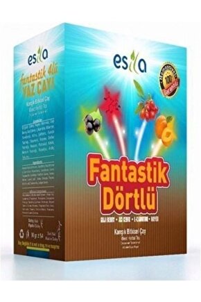 Fantastik Dörtlü Yaz Çayı 45 Poşet