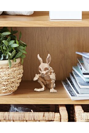 İskelet Tavşan (iskelet koleksiyonu)