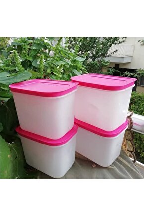 4 Adet 1.1 Lt Alaska