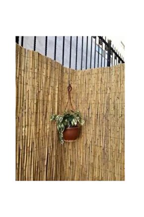 Kamış Çit 1 Metre X 1 Metre Balkon Çiti, Eber Gölünden Bambu Çit, Bahçe Çiti Ve Gölgelik