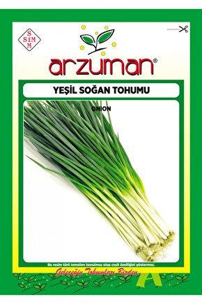 Yeşil Soğan Tohumu 10 Gr