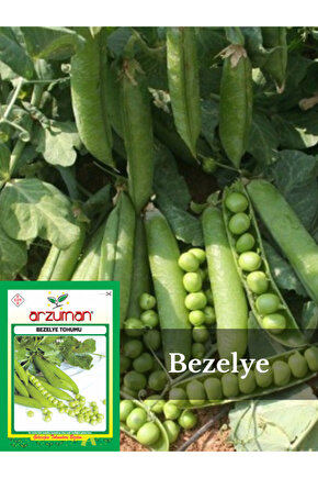 Utrillo Iri Tane Bezelye Tohumu 50 Gr