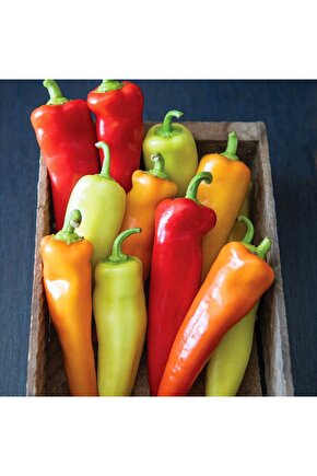 Tatlı sivri biber tohumu geleneksel macar mum biberi