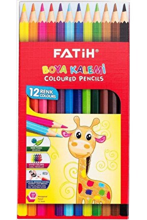 12li Tam Boya Kuru Boya Karton Kutu  33112