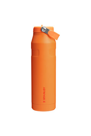 The IceFlow Flip Straw 2.0 Pipetli Termos Bardak 1.06 LT  Goldenrod Coral