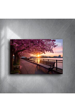 Kiraz Çiçeği Gün Batımı Park Bankı Kanvas Tablo