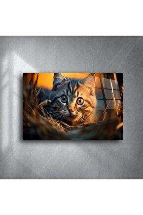 Yakın Plan Kedi Temalı Cam Tablo
