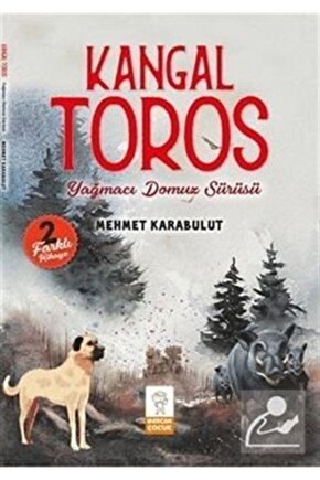 Kangal Toros  Yağmacı Domuz Sürüsü