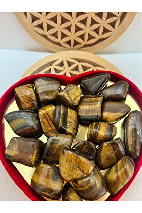 Kaplangözü Doğaltaş Cesaret Taşı Tamburlanmış