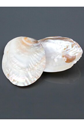 İncili İstiridye Kabuğu Tütsülük