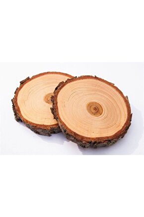 Ucuz Ahşap Kütük Dilim 10lu