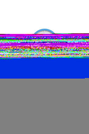 Asonıc As-a22 Kalem Pilli Mavi Raket Sinek Öldürücü (81)