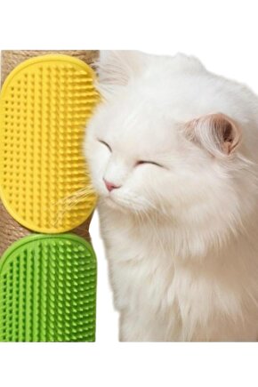 Evcil Hayvan Kedi Köpek Tüy Toplayıcı ve Köşe Kaşınma Silikon Fırçası Renkli