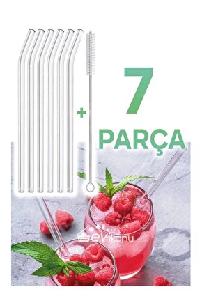 6 Parça Şeffaf Cam Eğimli Pipet Ve Temizleme Fırçası Kokteyl Sunum Pipetleri Yıkanabilir
