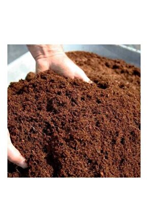 10 Litre Sürüngenler Için Cocopeat Torf Yıkanmış Ve Kaktüs Sukulent Çicekler