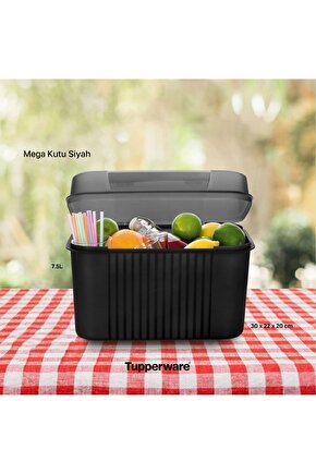 Mega Kutu 7.5 Litre