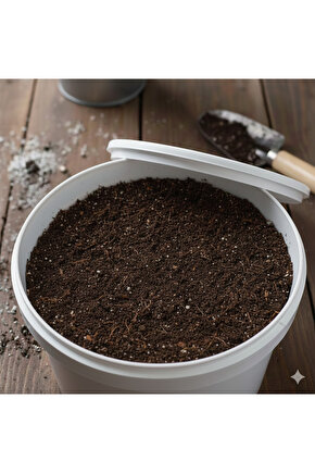 4 Adet Kovada Kültür Mantarı Deneme Hobi Kiti