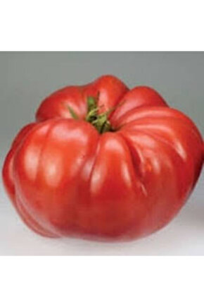 5000 Adet Köylü Domatesi Tohumu