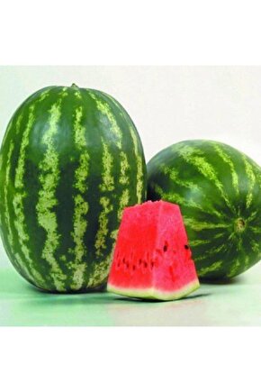 Tohumculuk Karpuz Tohumu 20 Adet Organik Karpuz Tohumu