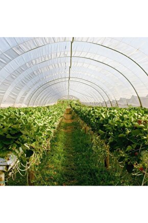 10 M2 Sera ( Kolay Kurulabilir Ve Taşınabilir Sera)