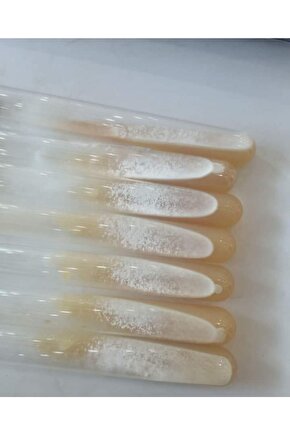 100 Ml Sıvı Istiridye Mantarı Tohumu Ve Eğitim Kılavuzu Ve Ekim Poşetleri