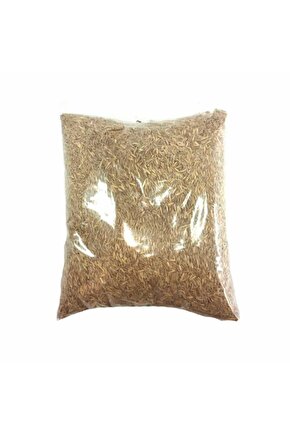 Çim Tohumu (500 Gr)