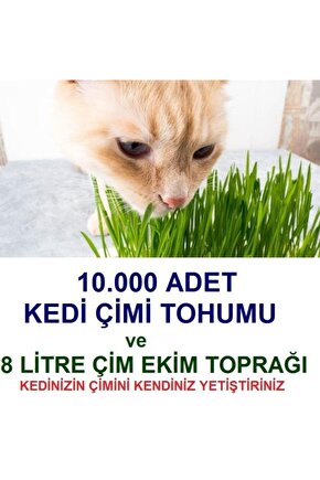 10.000 Adet Kedi Çimi Tohumu Ve 8 Litre Kedi Çimi Ekim Torfu