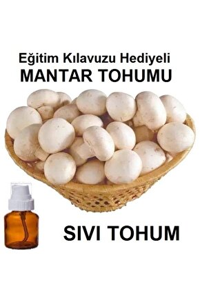 100 ml Kültür Mantarı Tohumu