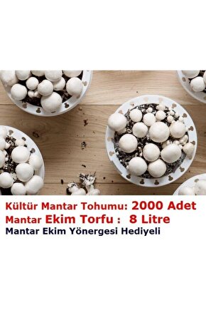 3000 Adet Beyaz Şapkalı Kültür Mantarı Tohumu + 13 Litre Mantar Ekim Torfu Ve Mantar Ekim Yönergesi