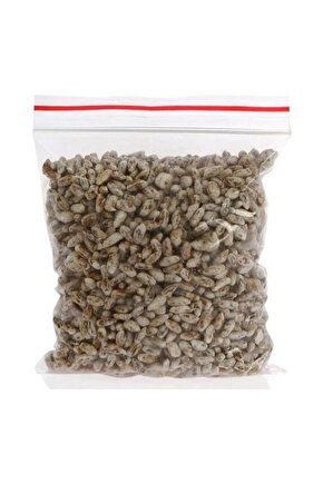 Eğitim Kılavuzu Ve Yönerge Hediyel 3000 Adet Beyaz Şapkalı Kültür Mantar Tohumu + Hediye Fidan Tohum