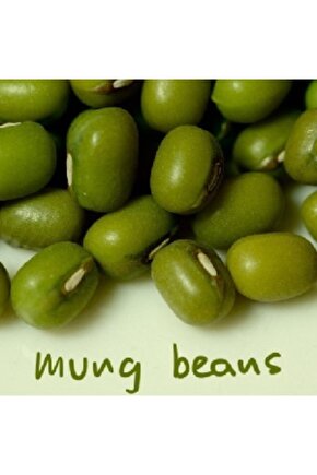 Maş Fasulye Tohumu (20 Adet Tohum)