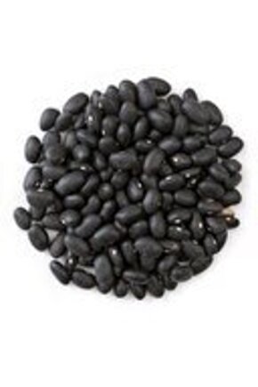 Nadir İthal Amerika Siyah Fasulye Tohumu 10 Tohum Kara Fasulye