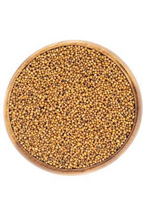 Sarı Hardal Tohumu 50 Gr