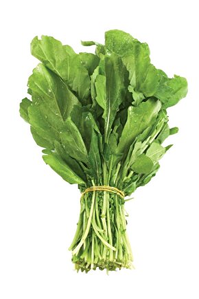 Doğal Geniş Yaprak Ispanak Yeşil Sebze Tohumu 100 Ad. Yerli Tohum