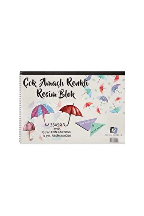 Çok Amaçlı Blok Resim Defteri 35x50 120gr. Alx-0299