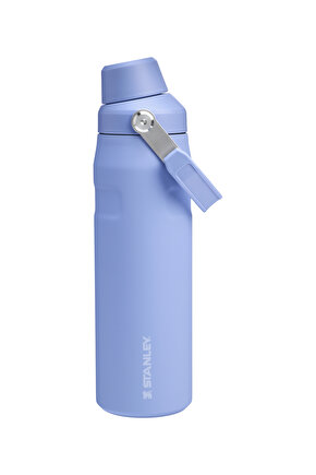 Iceflow Fast Flow Soğuk Su Termosu 0.70 Lt Hydrangea