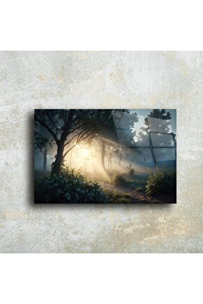 Orman Işık Patikası Cam Tablo