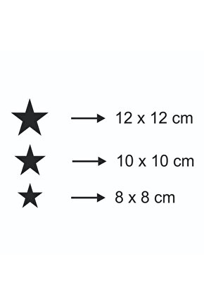 Üç Farklı Ebatta Siyah Kuş Duvar Dekoru Zenginleştirici