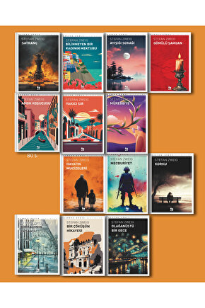 STEFAN ZWEİG KİTAPLIĞI 13 KİTAP
